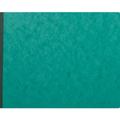 Exacompta - Piqûre comptable - 17 colonnes par page - 25 x 32 cm - 80 pages