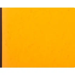 Exacompta - Piqûre comptable - 17 colonnes par page - 25 x 32 cm - 80 pages