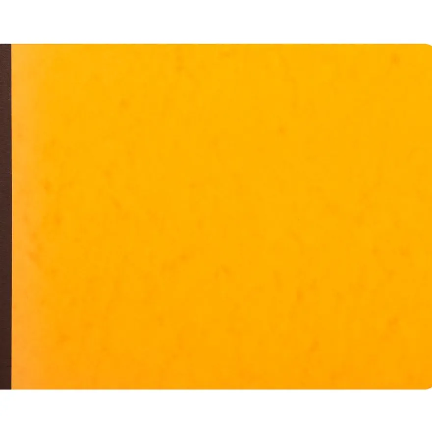Exacompta - Piqûre comptable - 17 colonnes par page - 25 x 32 cm - 80 pages