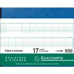 Exacompta - Piqûre comptable - 17 colonnes par page - 25 x 32 cm - 80 pages