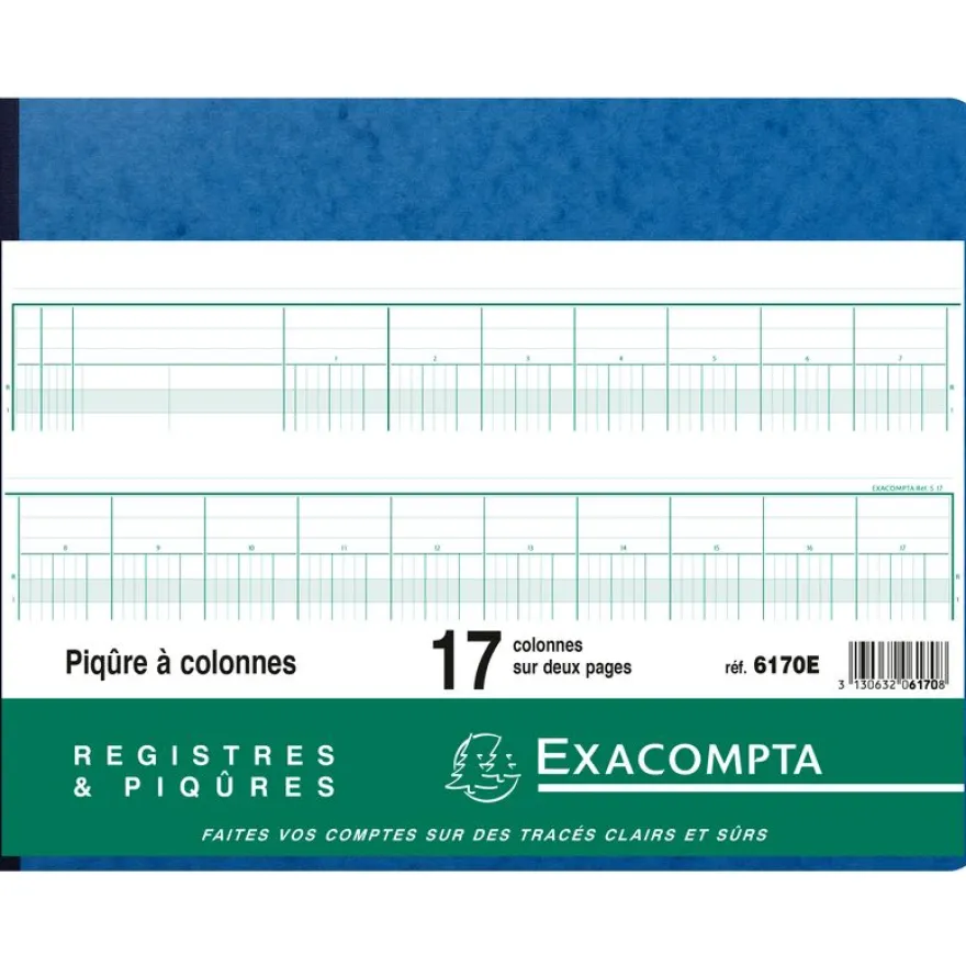 Exacompta - Piqûre comptable - 17 colonnes par page - 25 x 32 cm - 80 pages