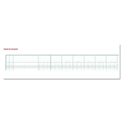 Exacompta - Piqûre comptable - 17 colonnes par page - 25 x 32 cm - 80 pages