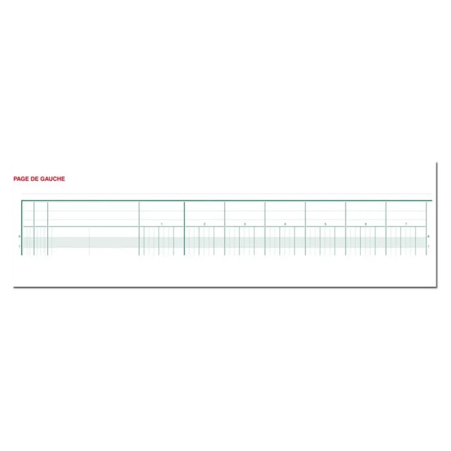 Exacompta - Piqûre comptable - 17 colonnes par page - 25 x 32 cm - 80 pages