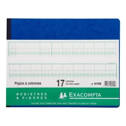 Exacompta - Piqûre comptable - 17 colonnes par page - 25 x 32 cm - 80 pages