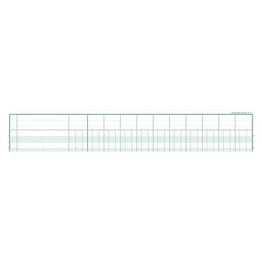 Exacompta - Piqûre comptable - 11 colonnes par page - 25 x 32 cm - 80 pages