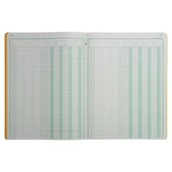 Exacompta - Piqûre comptable - 4 colonnes par page - 32 x 25 cm - 80 pages