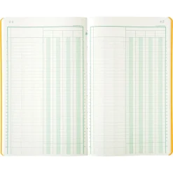 Exacompta - Piqûre comptable - 4 colonnes par page - 32 x 19,5 cm - 80 pages
