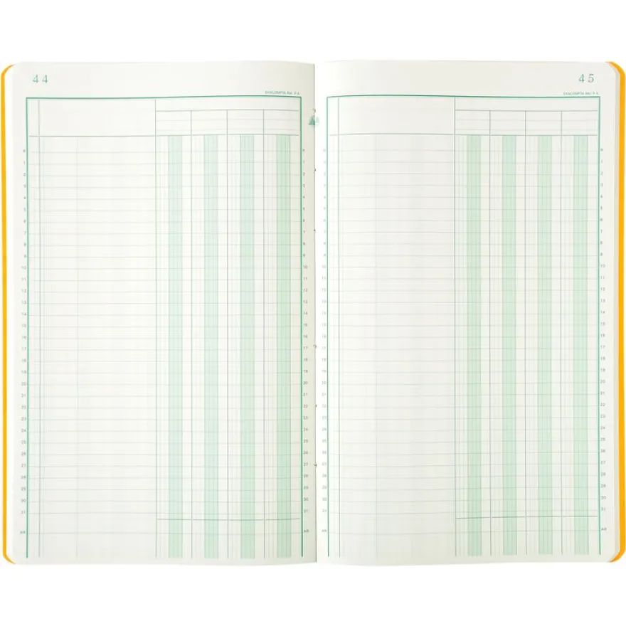 Exacompta - Piqûre comptable - 4 colonnes par page - 32 x 19,5 cm - 80 pages