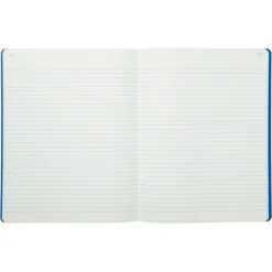 Exacompta - Piqûre journal ligné folioté - 32 x 25 cm - 80 pages
