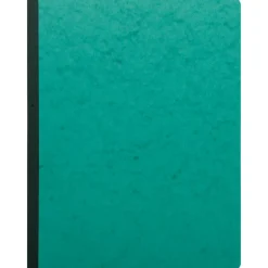 Exacompta - Piqûre journal ligné folioté - 32 x 25 cm - 80 pages