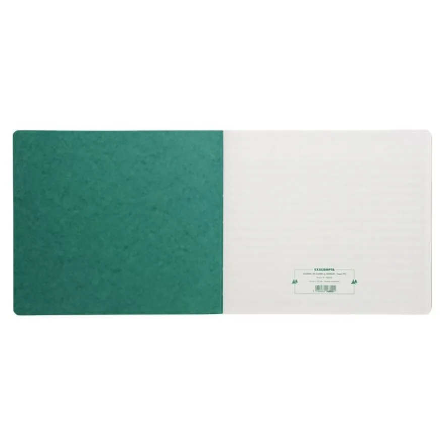 Exacompta - Piqûre Journal de caisse ou banque - 2 libellés : 6 crédits/13 débits - 27 x 32 cm