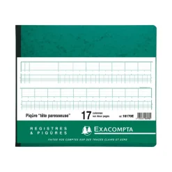 Exacompta - Piqûre tête paresseuse - 17 colonnes sur 2 pages - 27 x 32 cm