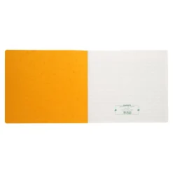 Exacompta - Piqûre tête paresseuse - 30 colonnes sur 2 pages - 27 x 32 cm