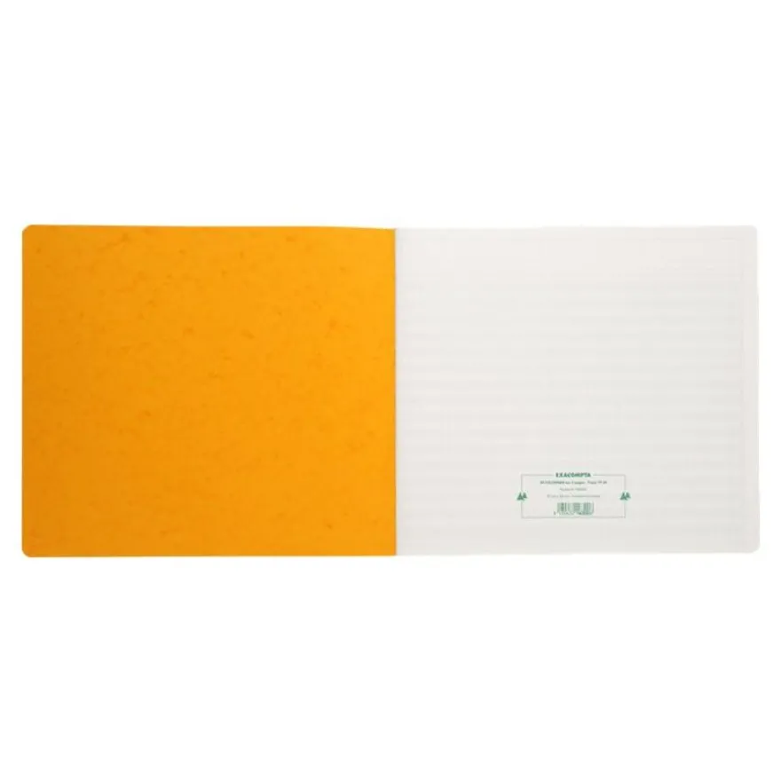 Exacompta - Piqûre tête paresseuse - 30 colonnes sur 2 pages - 27 x 32 cm