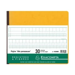 Exacompta - Piqûre tête paresseuse - 30 colonnes sur 2 pages - 27 x 32 cm