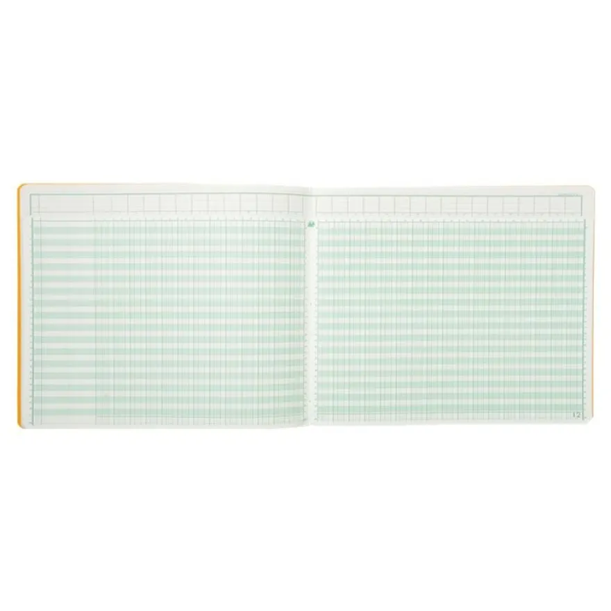 Exacompta - Piqûre tête paresseuse - 30 colonnes sur 2 pages - 27 x 32 cm