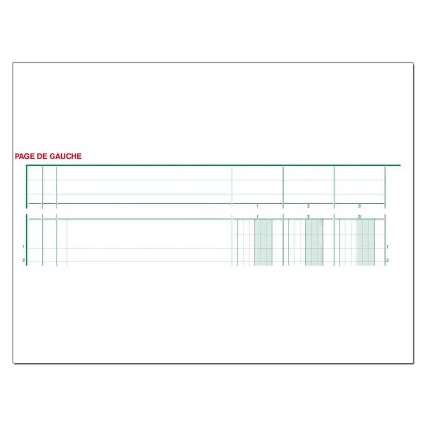 Exacompta - Piqûre tête paresseuse - 10 colonnes sur 2 pages - A4
