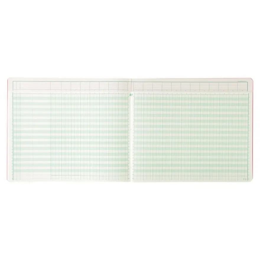 Exacompta - Piqûre tête paresseuse - 20 colonnes sur 2 pages - 27 x 32 cm