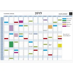 Exacompta - Planning annuel magnétique - effaçable à sec - 90 x 59 cm