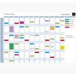 Exacompta - Planning annuel magnétique - effaçable à sec - 90 x 59 cm