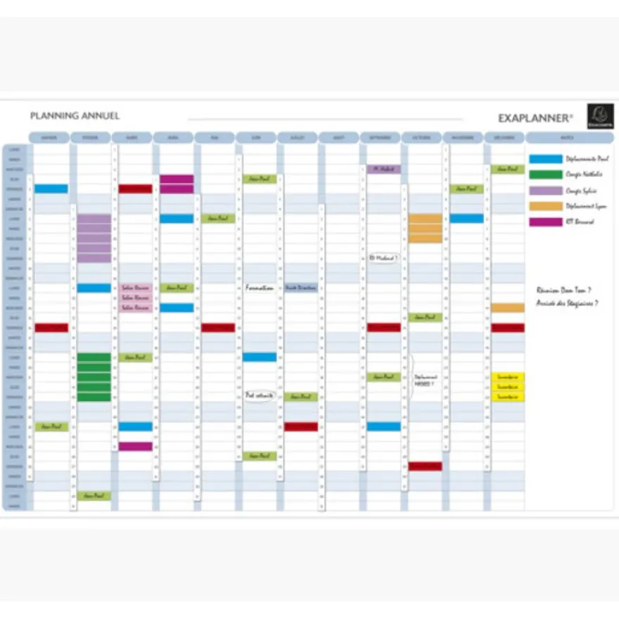 Exacompta - Planning annuel magnétique - effaçable à sec - 90 x 59 cm