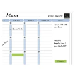 Exacompta - Planning mensuel magnétique - effaçable à sec - 90 x 59 cm