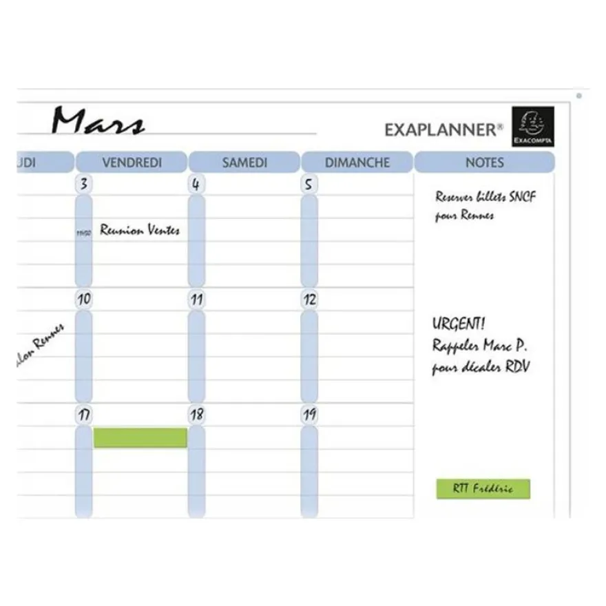 Exacompta - Planning mensuel magnétique - effaçable à sec - 90 x 59 cm