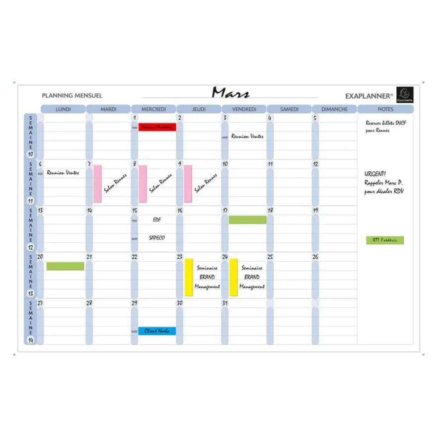 Exacompta - Planning mensuel magnétique - effaçable à sec - 90 x 59 cm