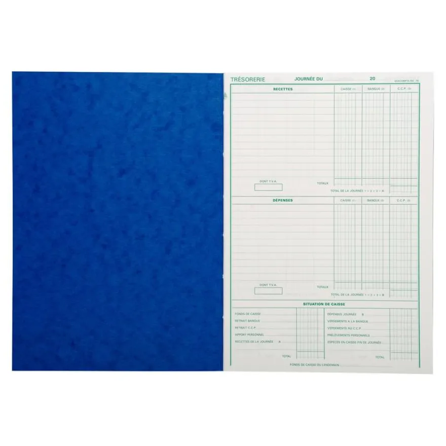 Exacompta - Registre brouillard journalier - 27 x 19 cm