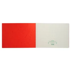 Exacompta - Registre des recettes/dépenses pour professions libérales - 27 x 38 cm - 80 pages