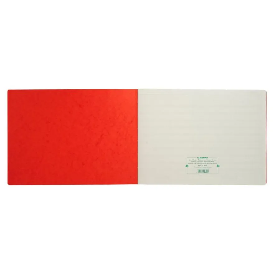 Exacompta - Registre des recettes/dépenses pour professions libérales - 27 x 38 cm - 80 pages