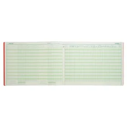 Exacompta - Registre des recettes/dépenses pour professions libérales - 27 x 38 cm - 80 pages