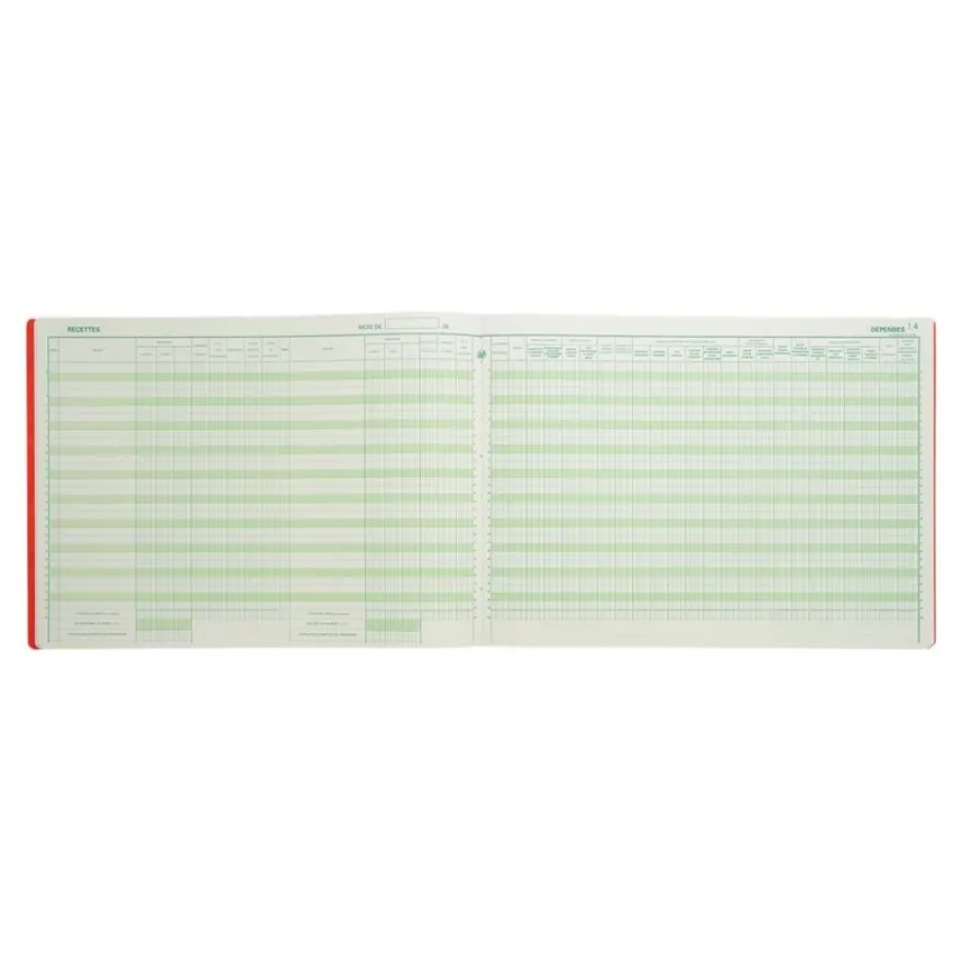 Exacompta - Registre des recettes/dépenses pour professions libérales - 27 x 38 cm - 80 pages