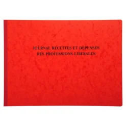Exacompta - Registre des recettes/dépenses pour professions libérales - 27 x 38 cm - 80 pages