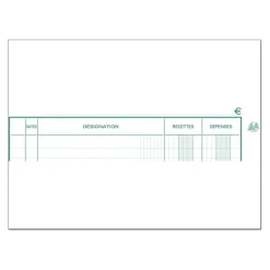 Exacompta - Registre des recettes/dépenses - 21 x 19 cm - 80 pages