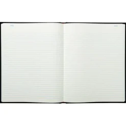 Exacompta - Registre ligné folioté - 36 x 22,5 cm - 300 pages