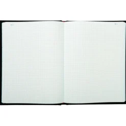 Exacompta - Registre 5x5 folioté - 29,7 x 21 cm - 500 pages