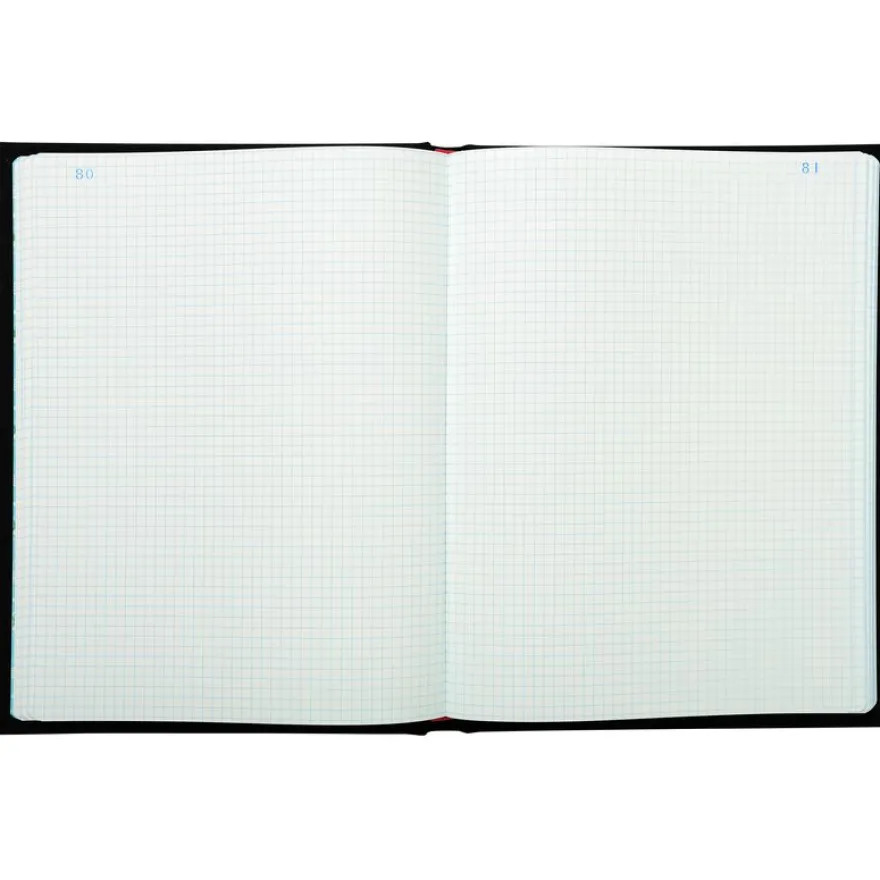 Exacompta - Registre 5x5 folioté - 29,7 x 21 cm - 500 pages