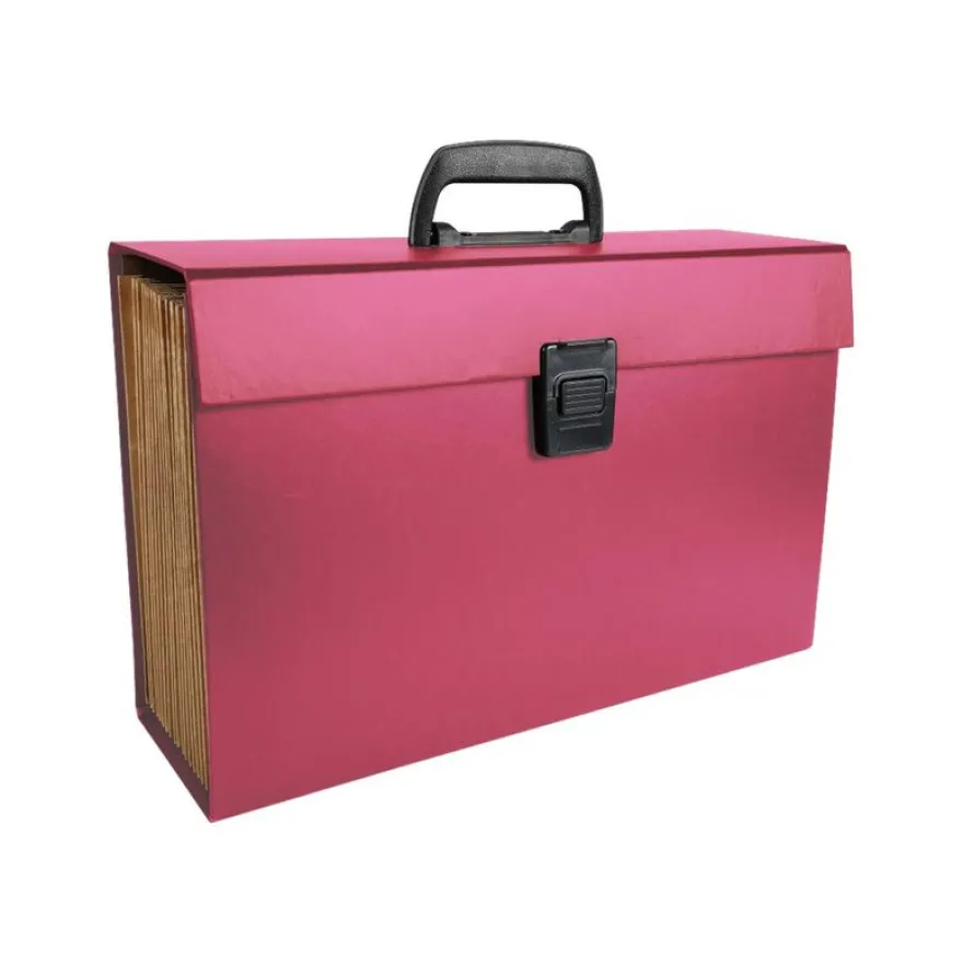 Exacompta - Valisette Trieur 20 compartiments - A4 Maxi - pour 1000 feuilles - disponible en différents coloris