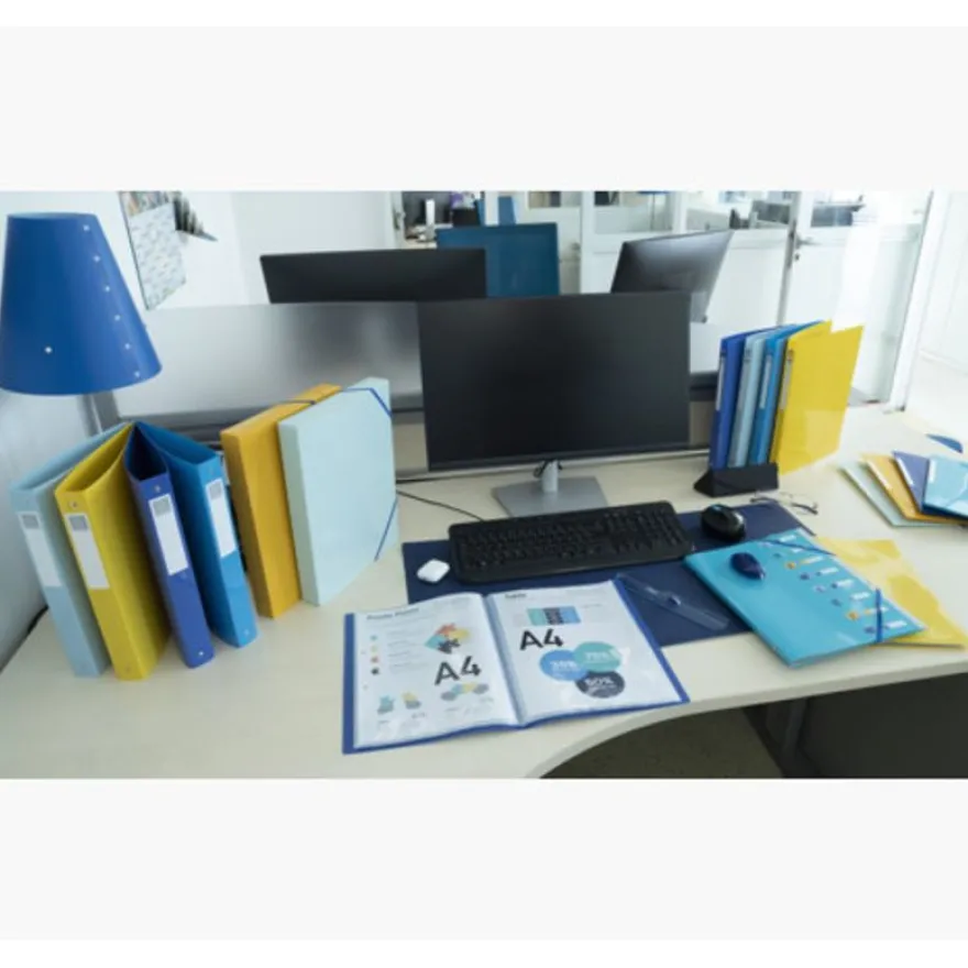 Exacompta BeeBlue - Boîte de classement en plastique recyclé - dos 40 mm - disponible dans différentes couleurs