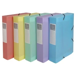Exacompta Chromaline Pastel - Boîte de classement plastique (livrée à plat) - dos 60 mm - disponible dans différentes couleurs pastels