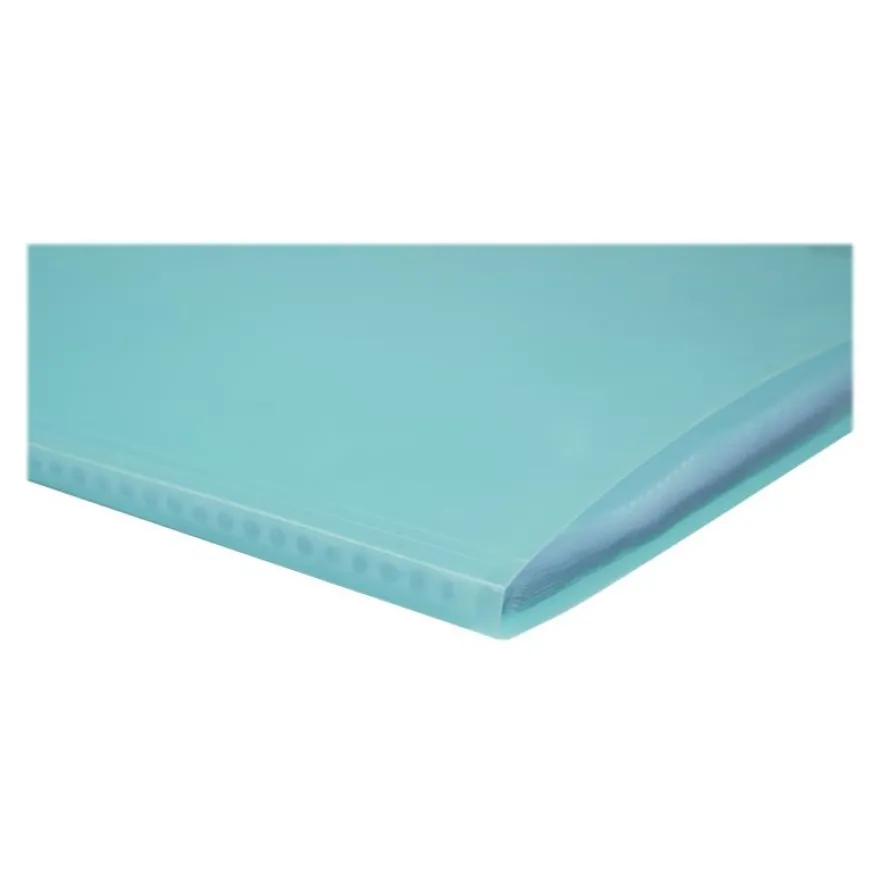 Exacompta Chromaline Pastel - Porte vues personnalisable - 120 vues - A4 - disponible dans différentes couleurs