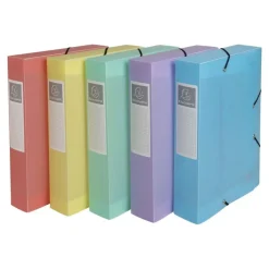 Exacompta Chromaline Pastel - Boîte de classement plastique - dos 60 mm - disponible dans différentes couleurs pastels