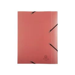 Exacompta Chromaline Pastel - Boîte de classement plastique (livrée à plat) - dos 25 mm - disponible dans différentes couleurs pastels