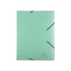 Exacompta Chromaline Pastel - Boîte de classement plastique (livrée à plat) - dos 25 mm - disponible dans différentes couleurs pastels
