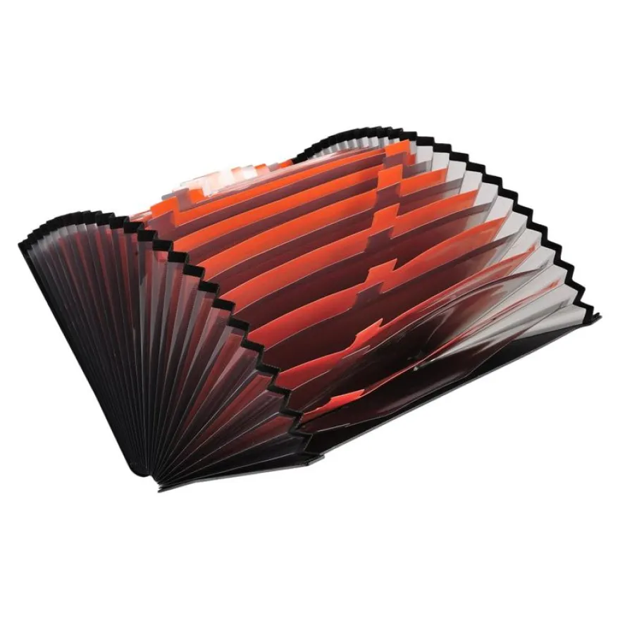 Exacompta Exactive - Classeur ménager (valisette trieur) 24 onglets - noir