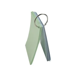 Exacompta Flashcars - 50 Bristols pour révisions sous anneau - 10,5 x 14,8 cm - ligné - couleurs assorties