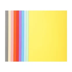 Exacompta Forever 180 - 50 Chemises - 170 gr - pour 200 feuilles - couleurs assorties