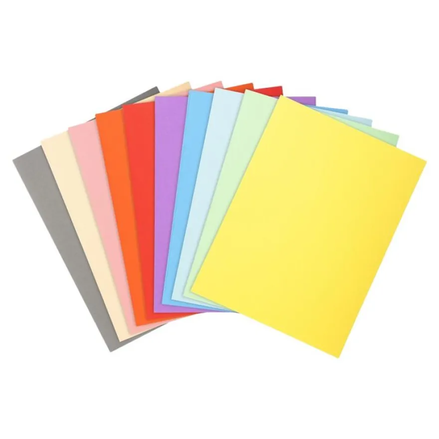 Exacompta Forever 180 - 50 Chemises - 170 gr - pour 200 feuilles - couleurs assorties