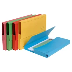 Exacompta Forever - 10 Chemises poche - 290 gr - couleurs assorties
